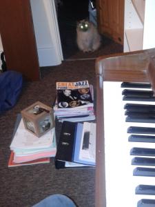 Piano Cat | Cycling Piano Tuner   