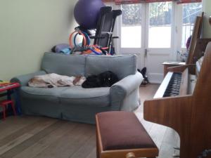 Piano Dog | Cycling Piano Tuner   