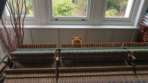 Cat and piano action 