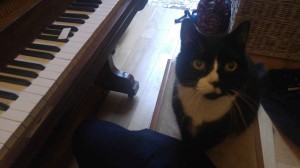 Cat and piano 