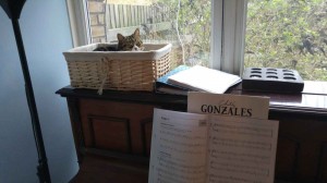 Cat and piano 